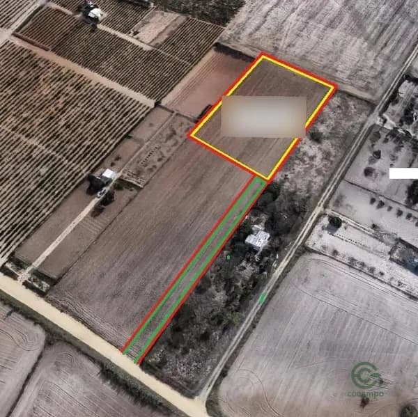 Finca agrícola de 0,3353 ha en venta en Chiclana de la frontera, Cadiz