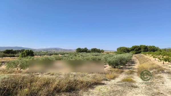 Finca agrícola de 1,0205 ha en venta en Monovar - monover, Alicante