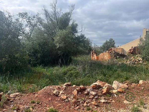 Finca de recreo de 1,2 ha en venta en Silves, Faro