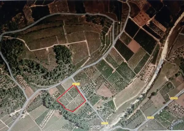 Finca agrícola de 1,2 ha en venta en Alicante