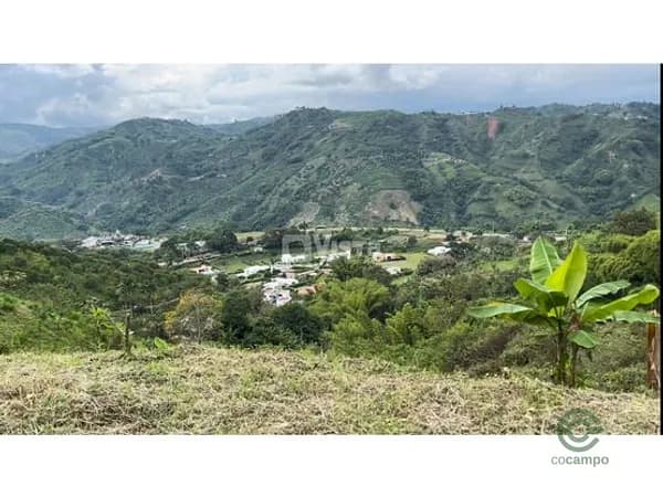 Finca agrícola de 0,4122 ha en venta en Caldas