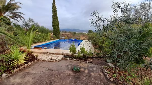 Finca rústica de 1,5 ha en venta en La romana, Alicante