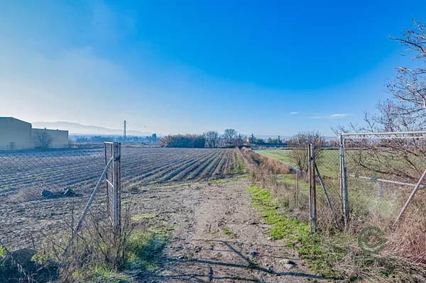 Finca agrícola de 0,8395 ha en venta en Granada, Granada