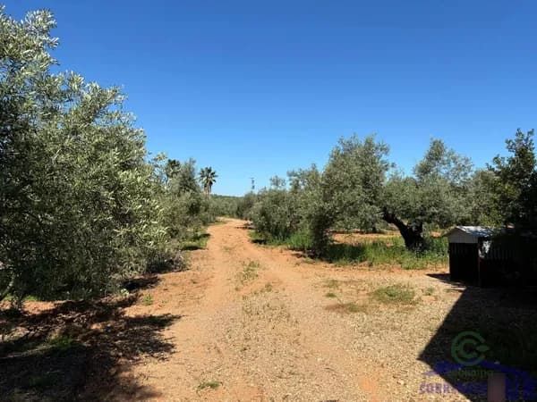 Finca agrícola de 6 ha en venta en Córdoba, Córdoba