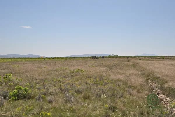 Finca rústica de 1,51 ha en venta en Pinoso, Alicante