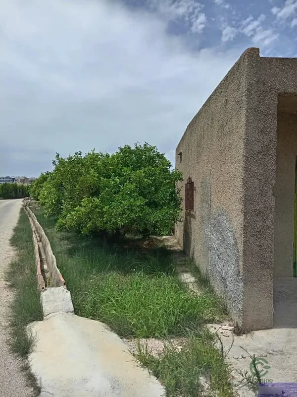 Finca rústica de 0,1 ha en venta en Oliva, Valencia