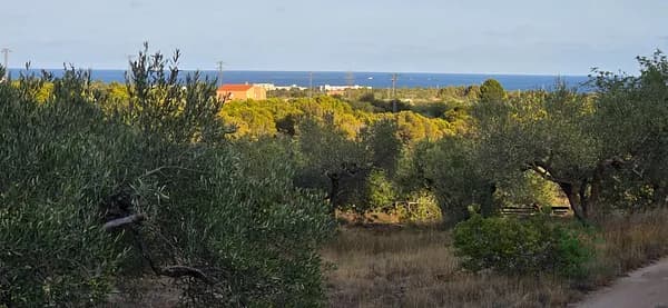 Finca agrícola de 0,5471 ha en venta en L'ametlla de mar, Tarragona
