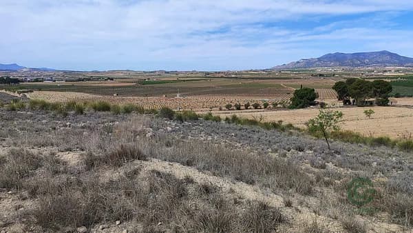 Finca rústica de 1,8889 ha en venta en Pinoso, Alicante