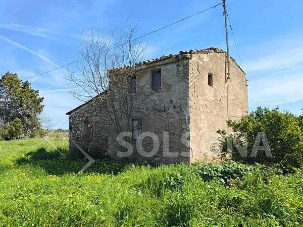 Finca agrícola de 0,29 ha en venta en Castellón