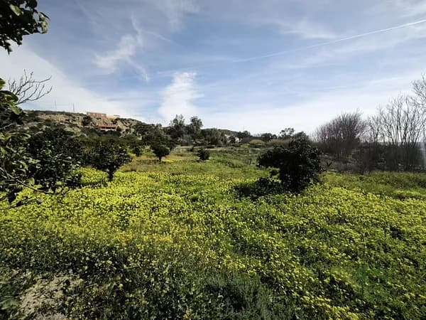 Finca agrícola de 0,8016 ha en venta en Gador, Almería