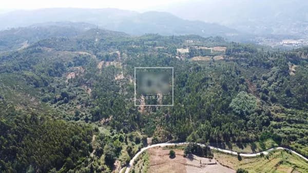 Fazenda florestal de 6,8 ha para venda em Porto