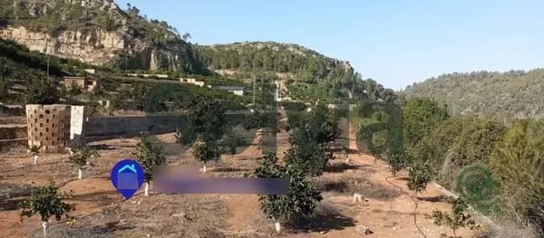 Finca agrícola de 6 ha en venta en Alzira, Valencia
