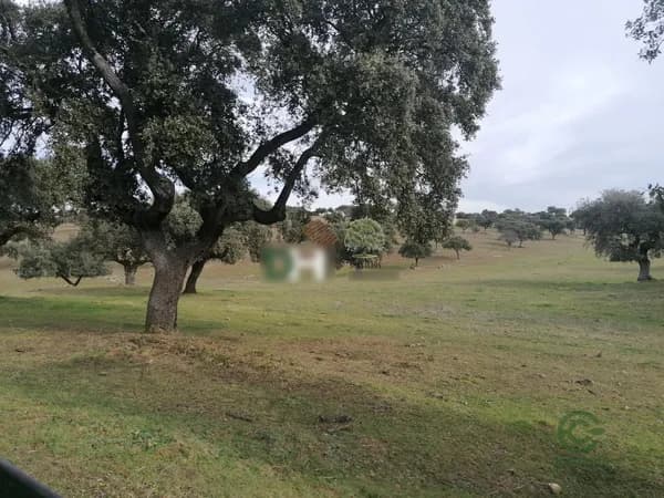 Finca rústica de 800 ha en venta en