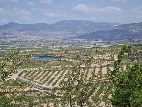 Finca agrícola de 3,15 ha en venta en Yecla, Murcia