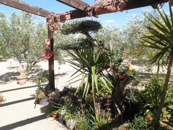 Finca rústica de 0,43 ha en venta en Roquetes, Tarragona