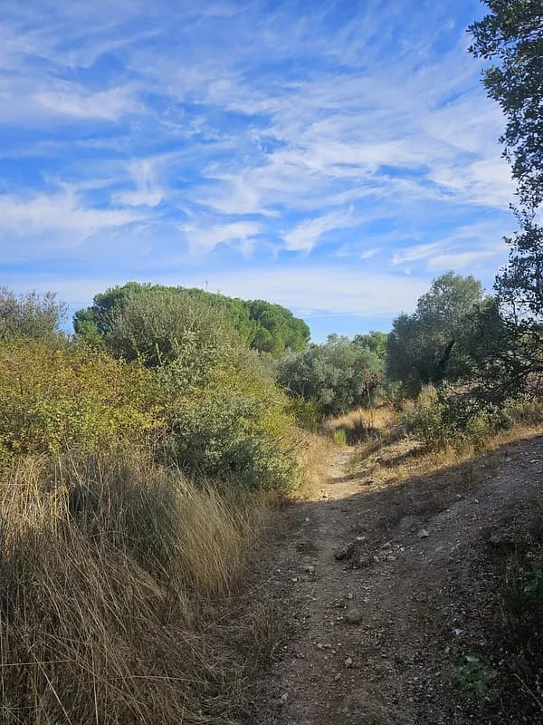 Finca rústica de 1,62 ha en venta en Madrid
