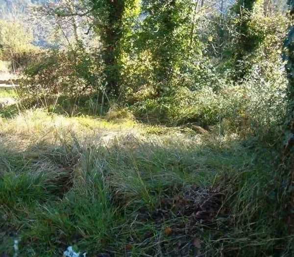 Finca agrícola de 0,065 ha en venta en Belmonte de miranda, Asturias