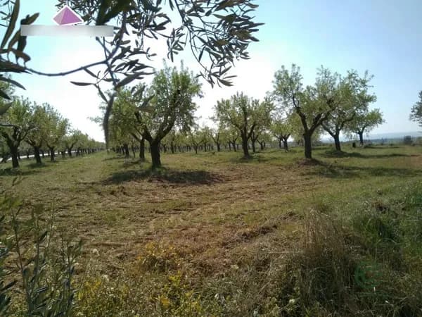 Finca agrícola de 1,4 ha en venta en Hoz y costean, Huesca