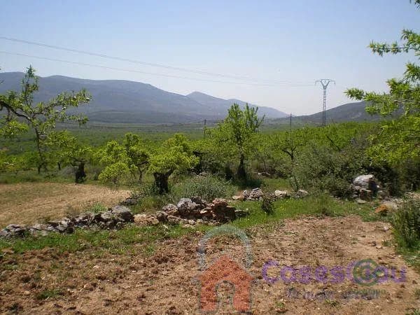 Finca rústica de 5,2 ha en venta en Culla, Castellón