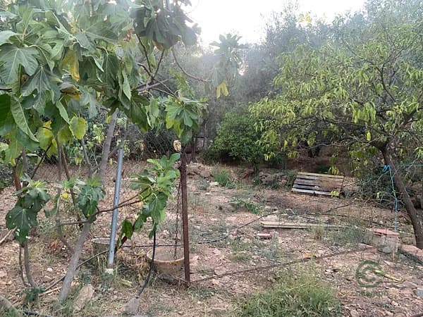 Finca rústica de 0,34 ha en venta en Córdoba, Cordoba