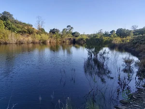 Finca rústica de 98 ha en venta en Sevilla