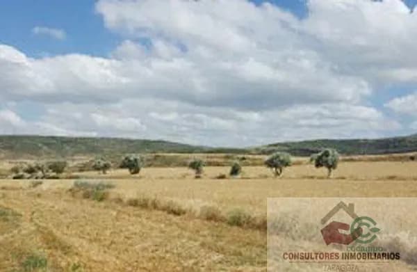 Finca agrícola de 0,46 ha en venta en Tarazona, Zaragoza