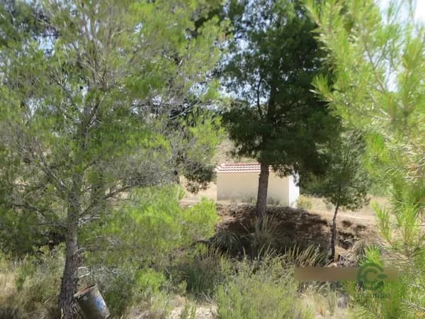 Finca agrícola de 2,05 ha en venta en Alicante