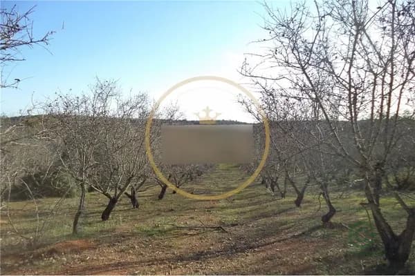 Fazenda agrícola de 1,97 ha para venda em Faro