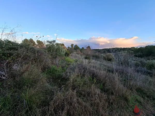 Finca agrícola de 1,8149 ha en venta en Sant quintí de mediona, Barcelona