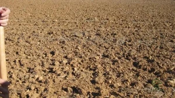 Finca agrícola de 0,47 ha en venta en Puigverd de lleida, Lleida