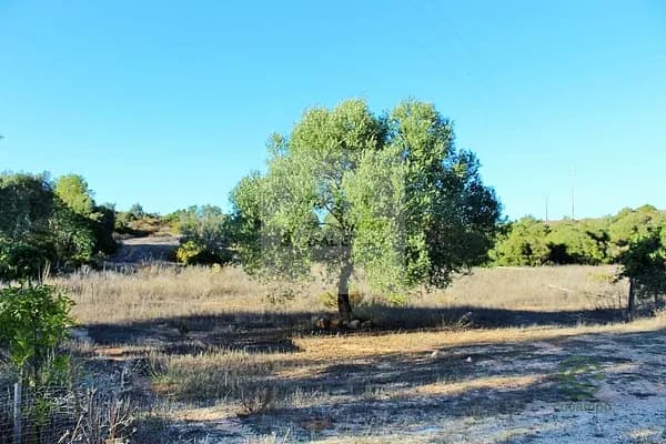 Finca rústica de 2,926 ha en venta en São gonçalo de lagos, Algarve