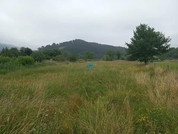Finca agrícola de 0,3377 ha en venta en Voto, Cantabria