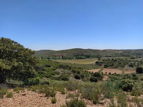 Finca rústica de 220 ha en venta en Albacete