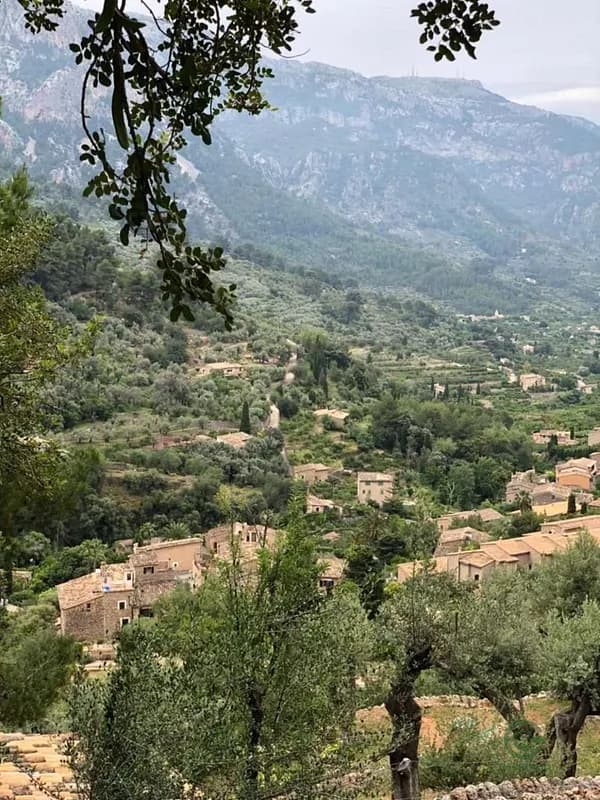 Finca agrícola de 0,7 ha en venta en Sóller, Baleares