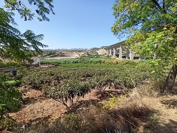 Finca agrícola de 0,5 ha en venta en Estepona, Malaga