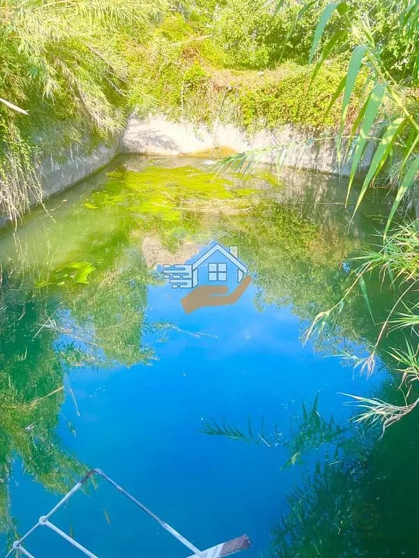 Finca agrícola de 1,2 ha en venta en Velez-blanco, Almeria