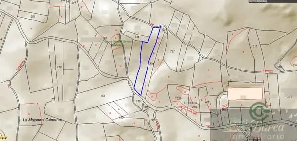 Finca agrícola de 0,87 ha en venta en Rute, Córdoba