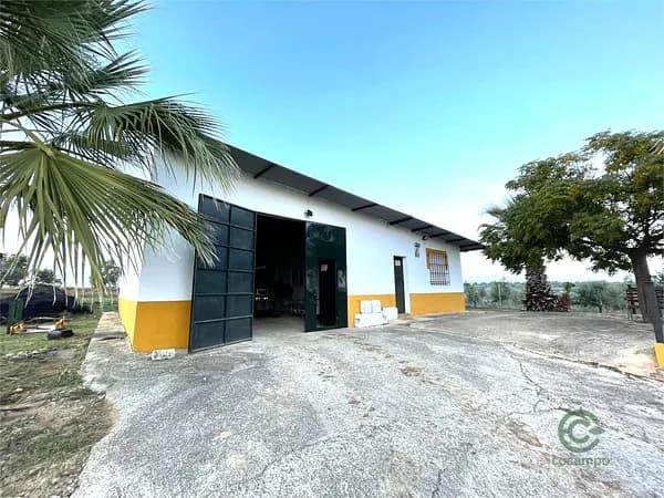 Finca agrícola de 25 ha en venta en Huelva
