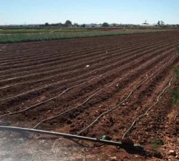 Finca agrícola de 0,8776 ha en venta en Sevilla, Sevilla