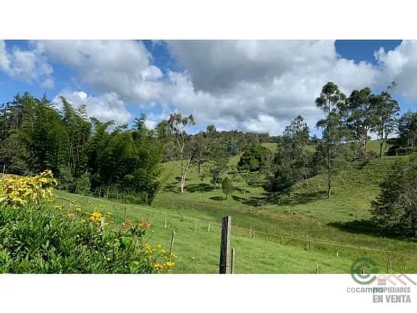 Finca rústica de 0,3932 ha en venta en Antioquia