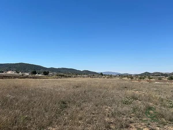 Finca rústica de 1,9444 ha en venta en Monovar - monover, Alicante
