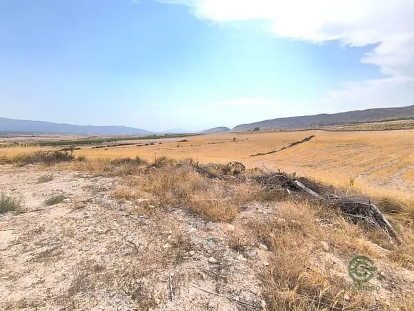 Finca agrícola de 33,1 ha en venta en Jumilla, Murcia