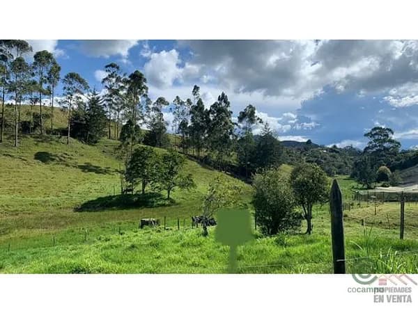 Terreno urbano de 0,1564 ha en venta en Antioquia
