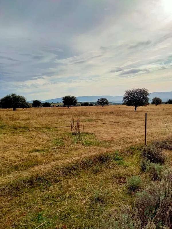 Finca rústica de 8 ha en venta en Badajoz, Badajoz