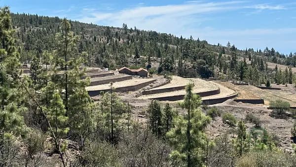 Finca rústica de 31 ha en venta en Santa cruz de tenerife