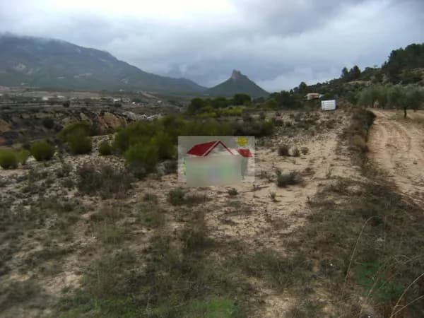Finca agrícola de 0,54 ha en venta en Ricote, Murcia