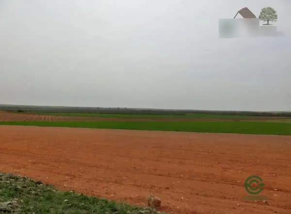 Finca rústica de 184 ha en venta en Toledo