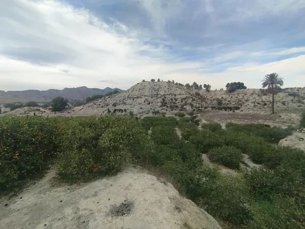 Finca rústica de 2,4 ha en venta en Ulea, Murcia