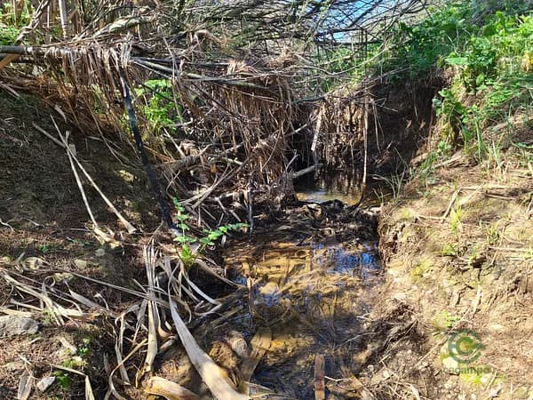 Finca rústica de 60,7 ha en venta en Aljustrel, Beja