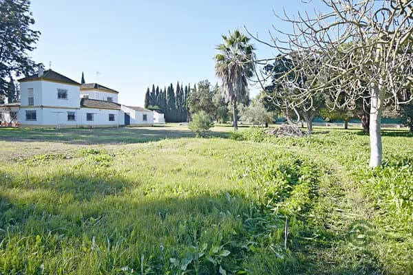 Finca rústica de 1,25 ha en venta en Jerez, Cadiz